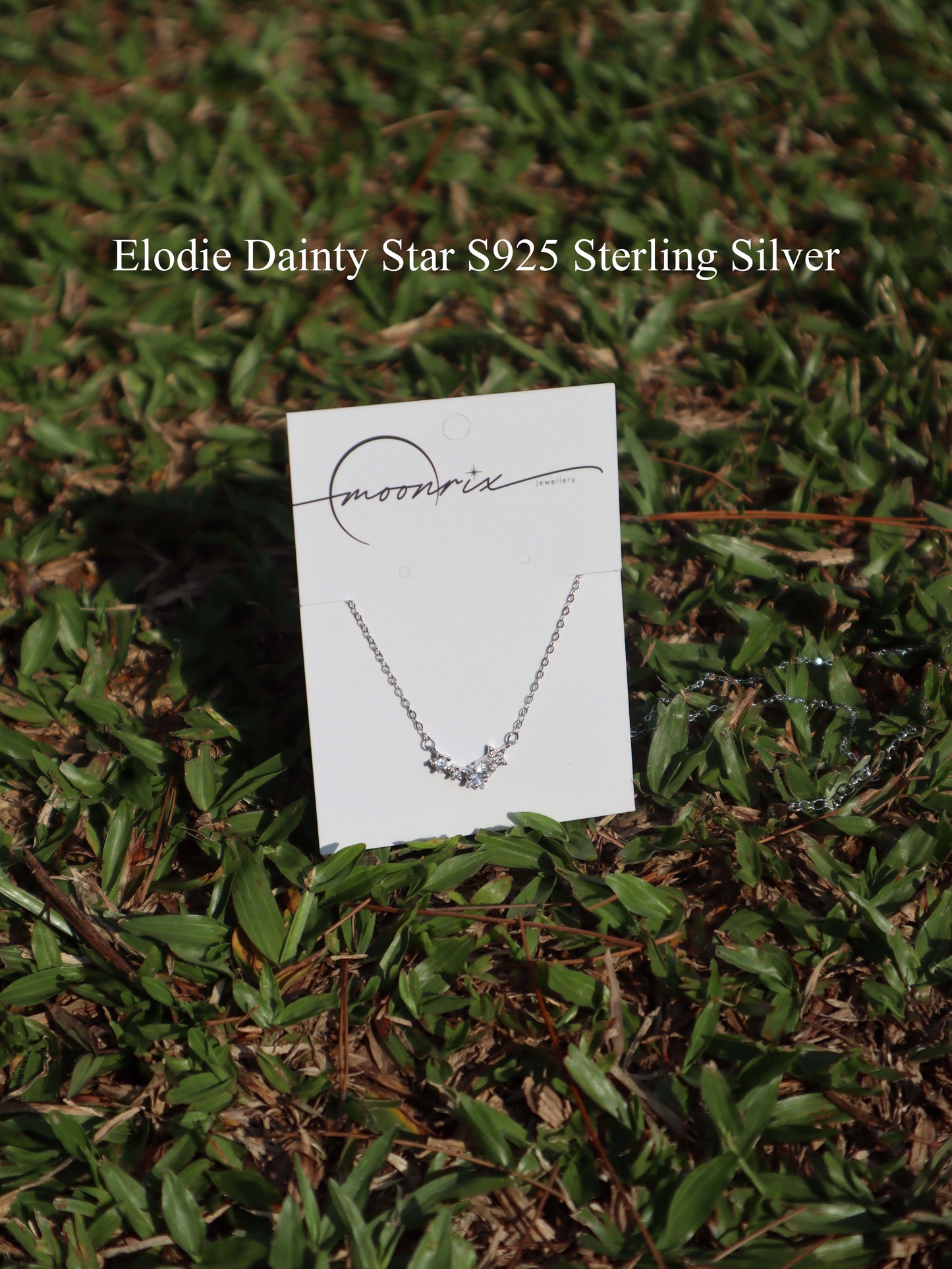 Ethereal Bloom Bouquet & S925 Sterling Silver Necklace Bundles