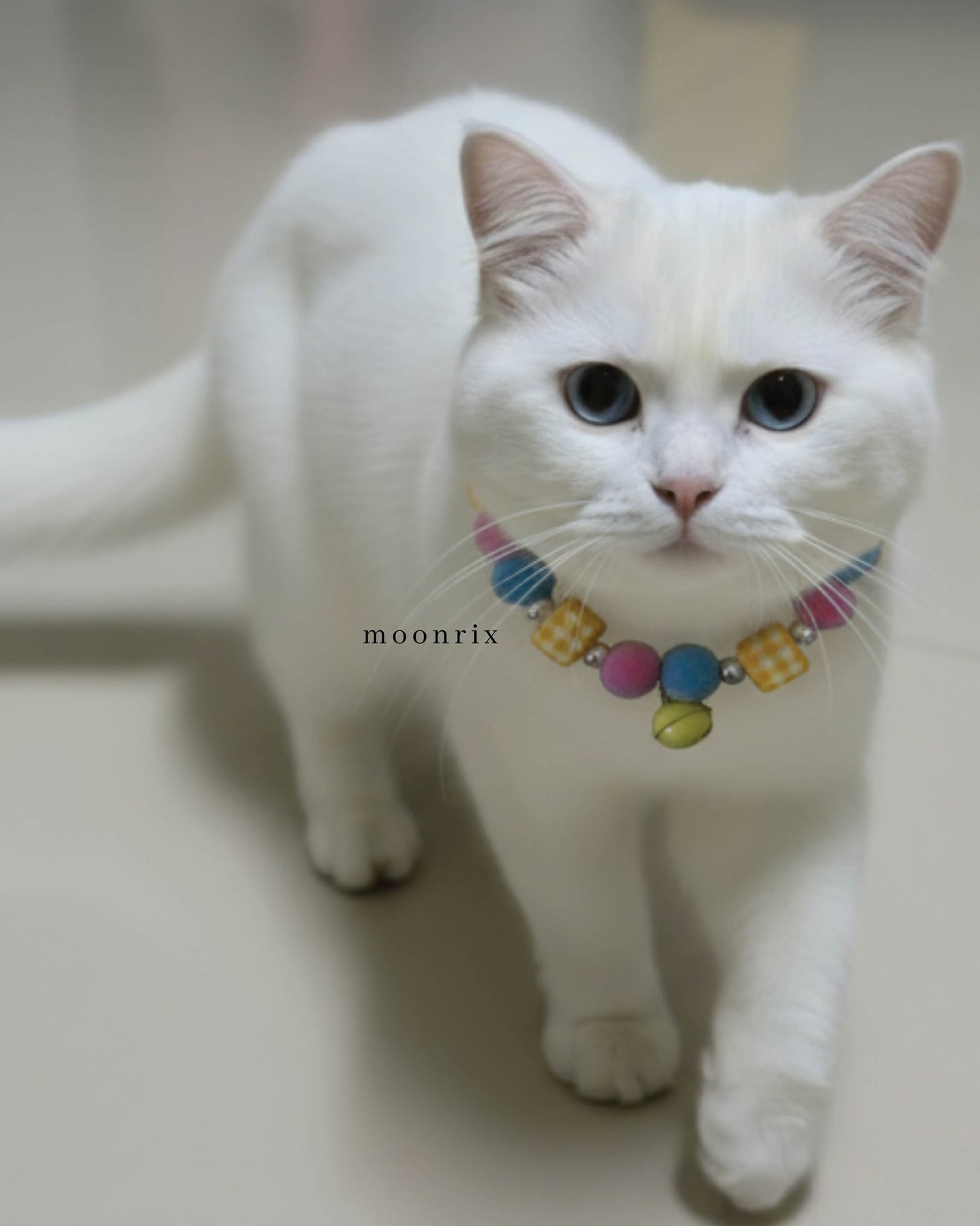 Manja Pet Necklace